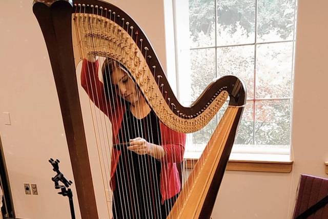 The Soenen Sisters - Harp Flute and Cello Trio 3