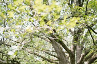 Stasia Photography - 17