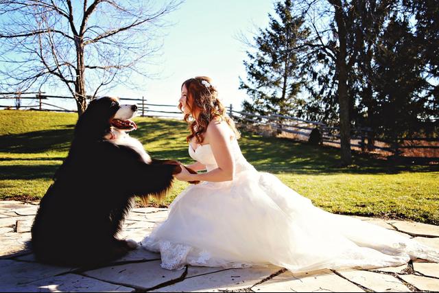 Dawn Boyce Photography - 1