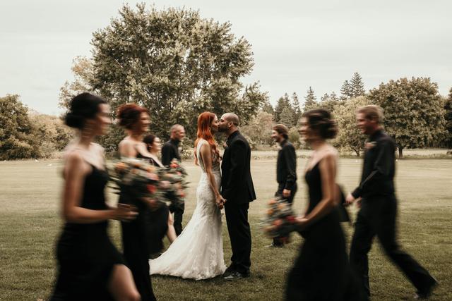 Wild Lace Photography - 1