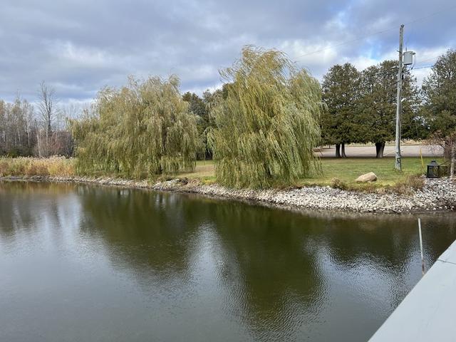 Orchard View - 1