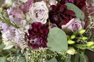 Brighton Backyard Blooms - 8