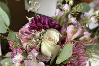 Brighton Backyard Blooms - 9