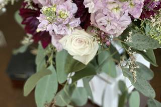 Brighton Backyard Blooms - 10