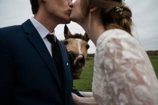 Maple Meadows Farm & Event Center - 22