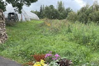Broadfork Farm - 2