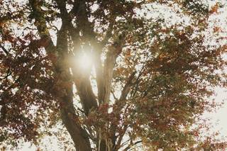 Michael Steingard Photography - 11