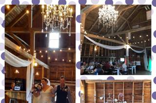 Ticklebelly Hill - 8