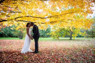 Igor M Photography - 6