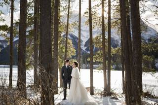 The Nogues Photography - 6