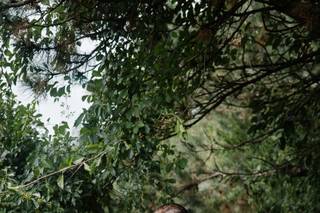 Stasia Photography - 14