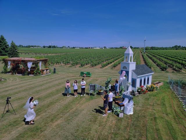 Niagara Venue Weddings + Decor - 3