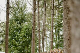 Something New Officiant - 8