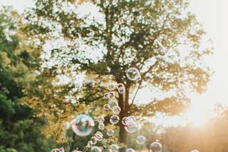 Daniela Mileto Photography - 22