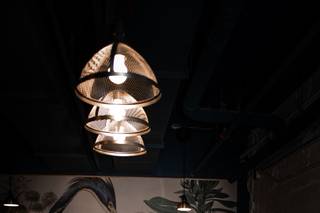 Saturna Photography - 8