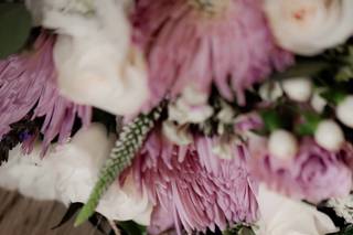 Ginger Photography - 6