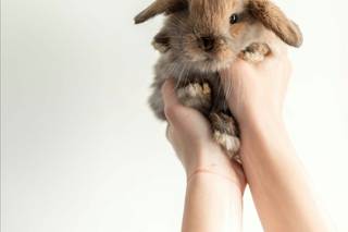 Danae Marie Photography - 14