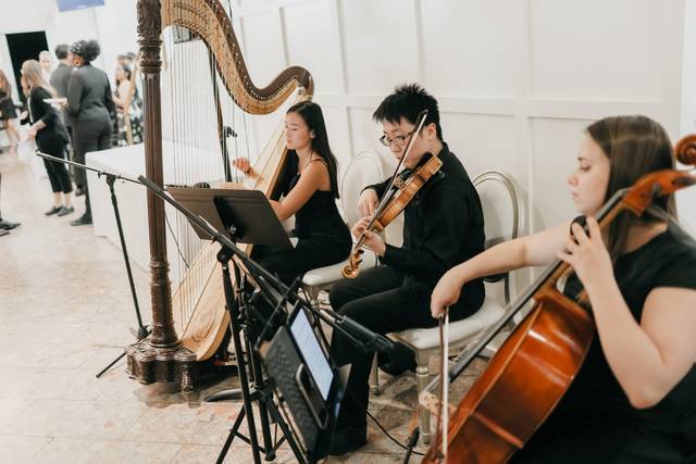 Denise Fung - Harpist 1