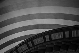 Bozhyk Photography - 18