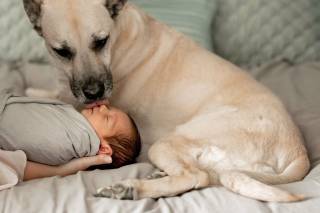 JEN LINFIELD PHOTOGRAPHY - 13