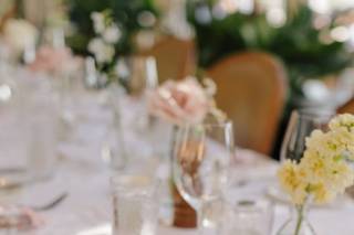 Amanda Marie Event - 8