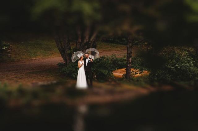 Lauren Hardy Photography - 1