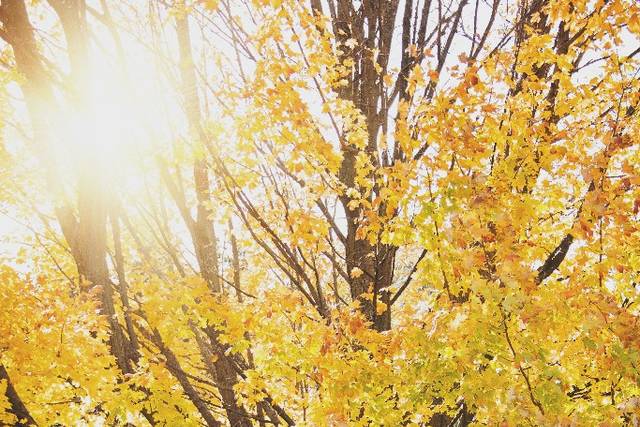 Brooklin Photography 3