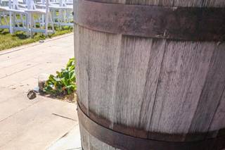 Prairie Chic Designs - Wood Florals - 5