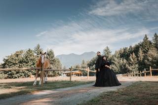 Andick Photography - 6