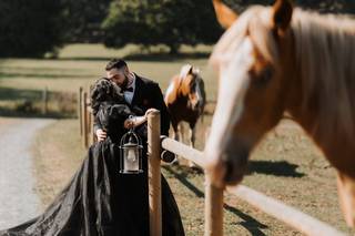 Andick Photography - 7