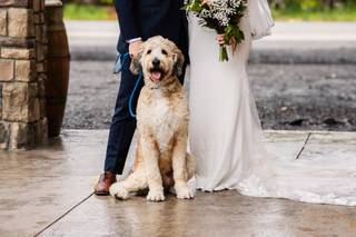 Fabian Andres Photography - 6