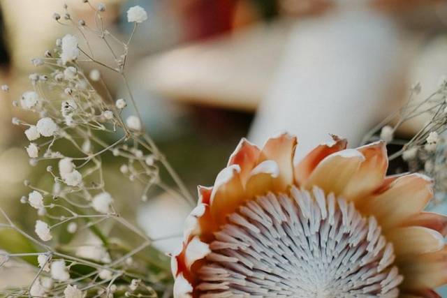Rustic Wedding - High Country Tree Farm 5