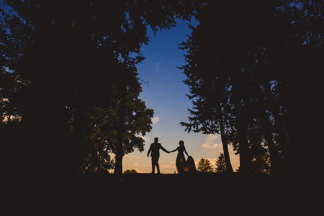 Michael Steingard Photography - 1