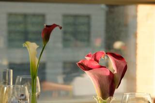 Blooming Flower Design - 5