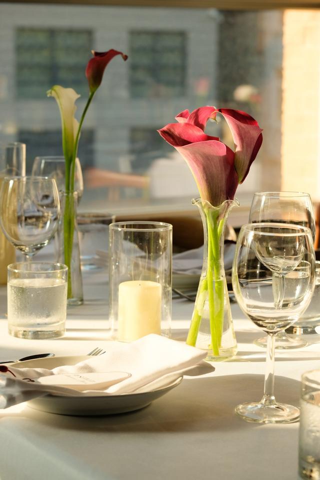 Blooming Flower Design - 2
