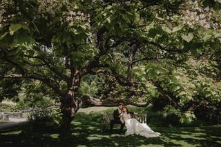 Sea to Sky Studios - 7