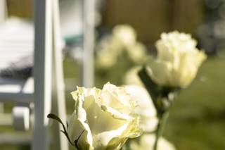 Hawthorn Plains - 16