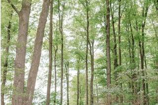 Castle Avenue Photography - 9