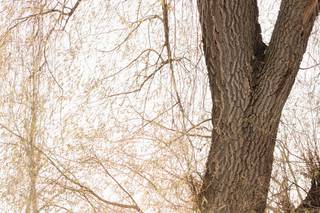 Colleen Anne Photography - 5