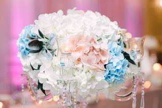 Katie Nicolle Photography - 7