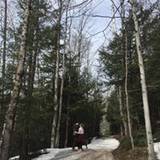 Erika