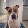 Sam
