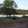 Olivia