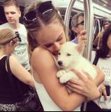 Delaney