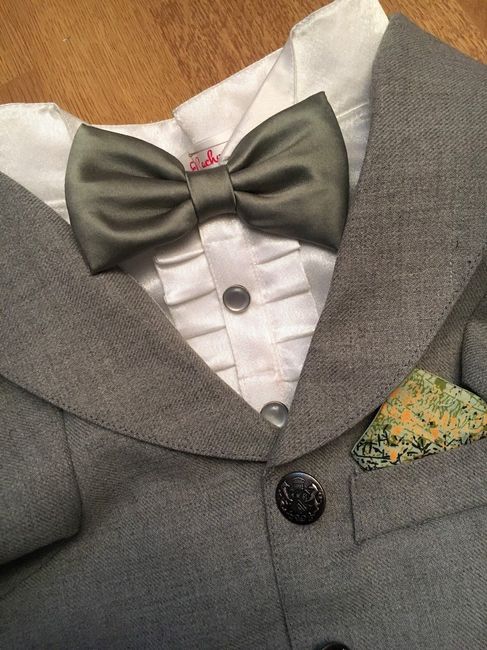 Tuxedo for my dog 1