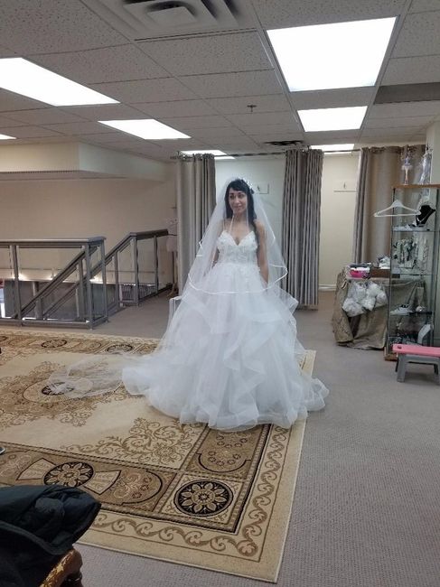 the veil