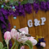 Brides of 2025 - Let's See Your Ring! - 1
