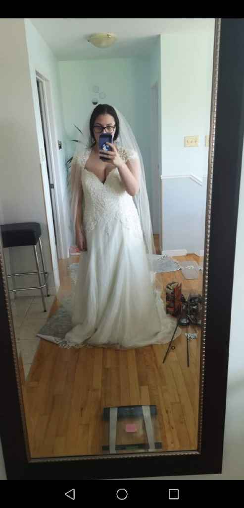 My Wedding Dress Does Not Fit! - 1