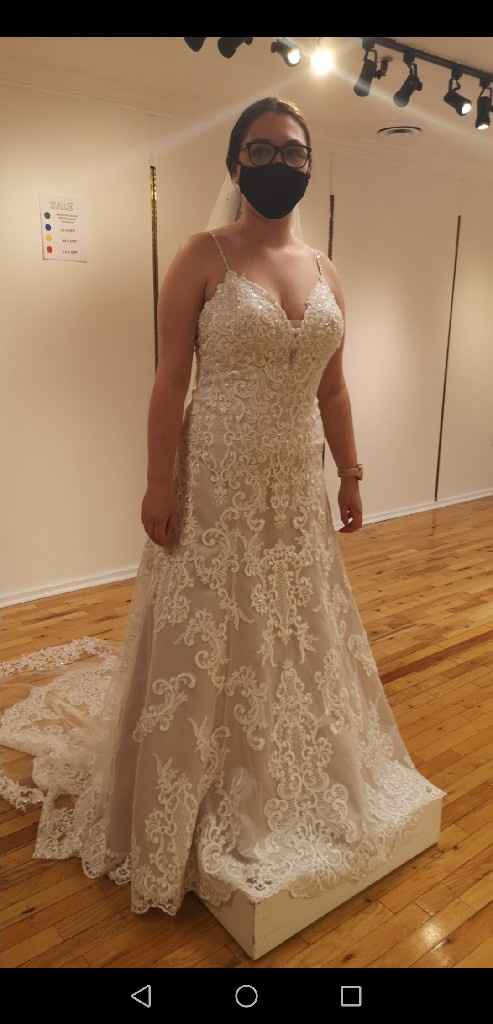 My Wedding Dress Does Not Fit! - 2