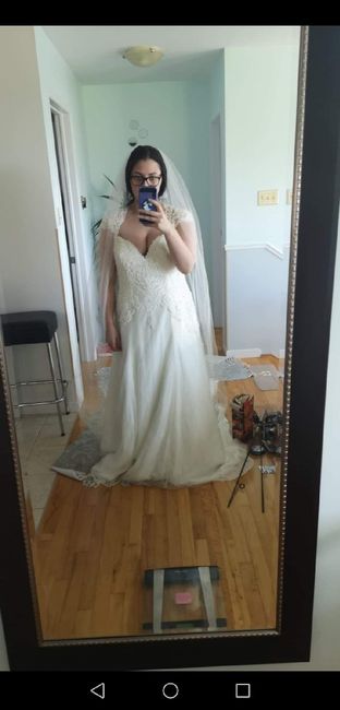 My Wedding Dress Does Not Fit! 1